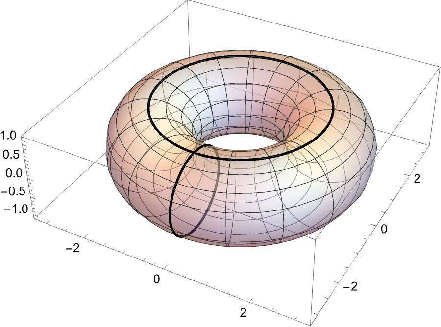 Torus with mesh